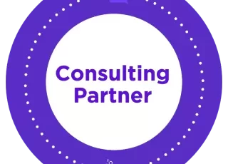 consulting_partner_looker