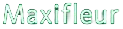 Maxifleur logo