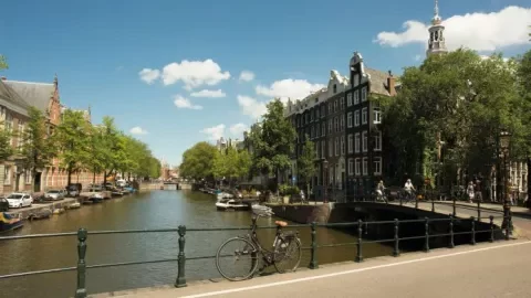 client_background_RINO Amsterdam